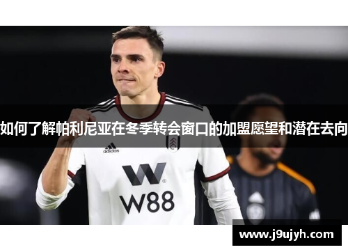 如何了解帕利尼亚在冬季转会窗口的加盟愿望和潜在去向