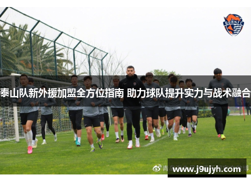 泰山队新外援加盟全方位指南 助力球队提升实力与战术融合