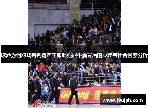 球迷为何对裁判判罚产生如此强烈不满背后的心理与社会因素分析