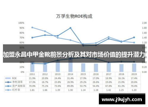 加盟永昌中甲金靴前景分析及其对市场价值的提升潜力